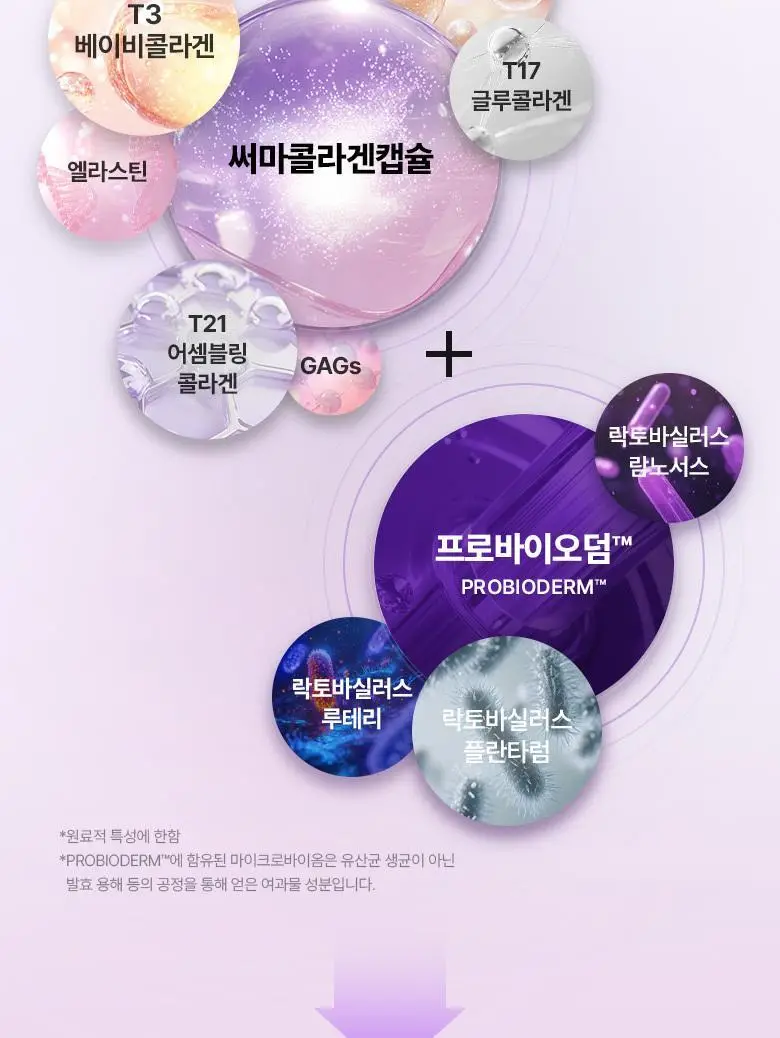 [모공고민|화잘먹] 바이오힐보 프로바이오덤 콜라겐 리모델링 크림 기획세트 [단품/증정기획] 상세페이지 18
